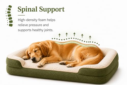 Image of Cutepups Orthopedic Dog Bed Medium Size (M) - Soft Plush Washable Bed for Medium Dogs