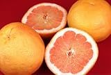 Organic Grapefruit
