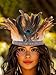 Aukmla Indian Feather Headband Peacock Feather Headpiece Carnival Costume Headdress for Women (Brown)