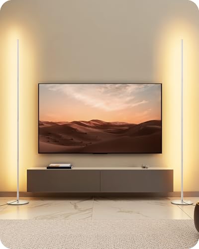 EDISHINE 2 Stück Stehlampe Wohnzimmer, LED Stehlampe Dimmbar, 3000K warmweiße Stehleuchte mit Memory-Funktion, höhenverstellbar 146 cm, moderne Standleuchte für Schlafzimmer und Büro, Silber