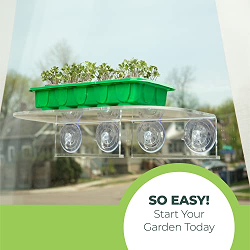 Double Veg Ledge - Window Shelf For Plants, Clear Acrylic Shelves - Suction Cup Indoor Plant Holder (1 Pack) Bundle With Mammoth Sunflower Grow Kit - Giant Sunflower Planting Seeds #TOP5