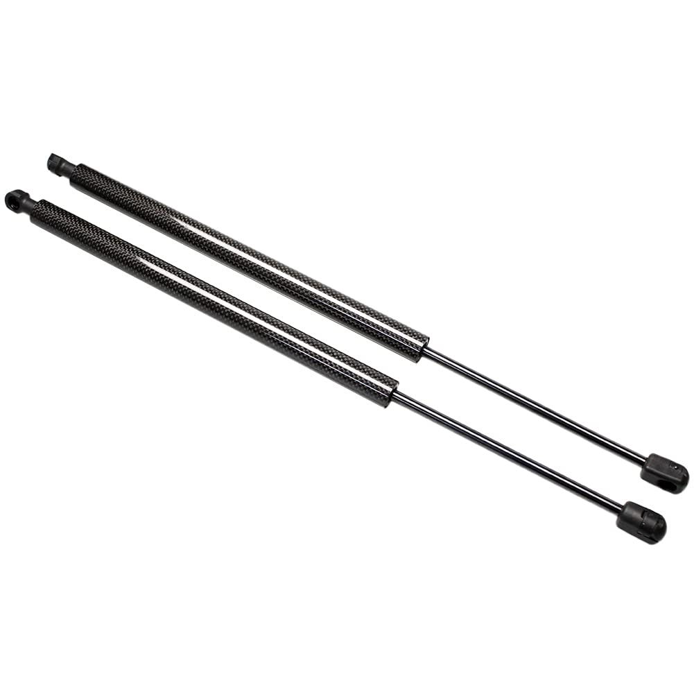 Amazon.com: TSUBASA Lift Supports for Toyota Matrix E130 XR