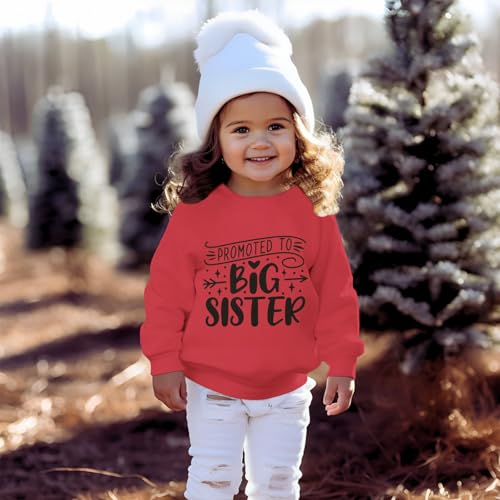 Promoted to Big Sister Sweatshirts Toddler Baby Girl Announcement Big Sis Pullover Crewneck Shirts Fall Tops Clothes4