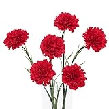 DuHouse Real Touch - 6 flores artificiales de seda, clavel falso con tallos de 45 cm de largo para centros de mesa de boda y hogar (rojo)