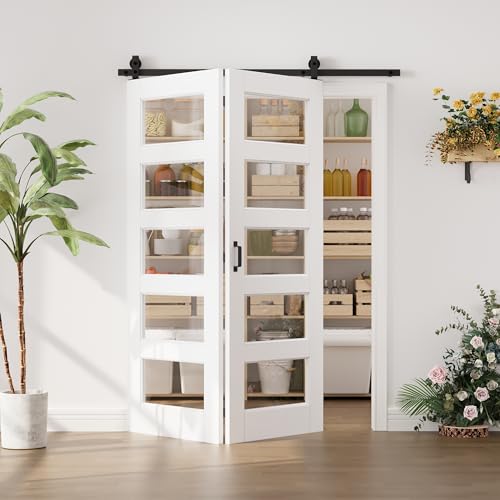 Image of 60 inchx80 inch White 5-Lites Clear Glass Bifold Barn Door Slab with 64 inch Track Kit