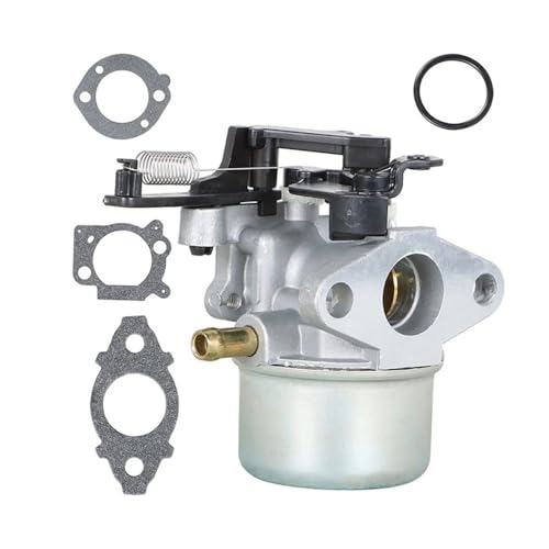 Carburateur 799248 pour redémarrer la tondeuse à gazon avant l'été