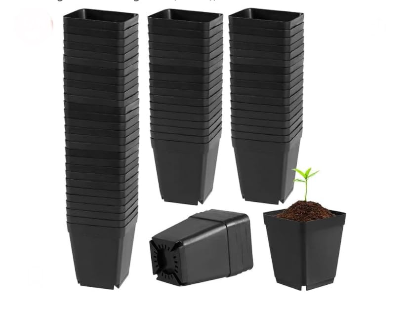 3 Inch Square Nursery Flower Pots Black Plastic Nursery Seedling Germinating Pots (Small), Set of 20 Pcs-image-49