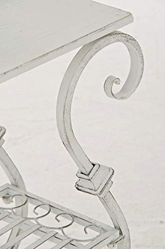 CLP Portavasi a Ripiani in Ferro Aurica 53x22cm i