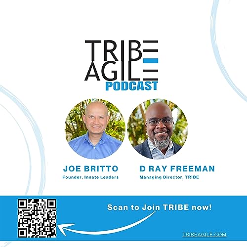 "The Behaviors of an Agile Mindset" with D Ray Freeman and Joe Britto