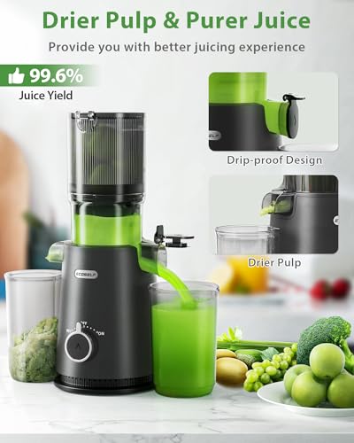 Juicer Machines, ECOSELF Large Feed Chute for Family Needs, Professional Hands Free Cold Press Juicer For Whole Fruits & Vegetables, Self Feeding for Juice Extractor Machine, Easy to Clean - Thumbnail 6