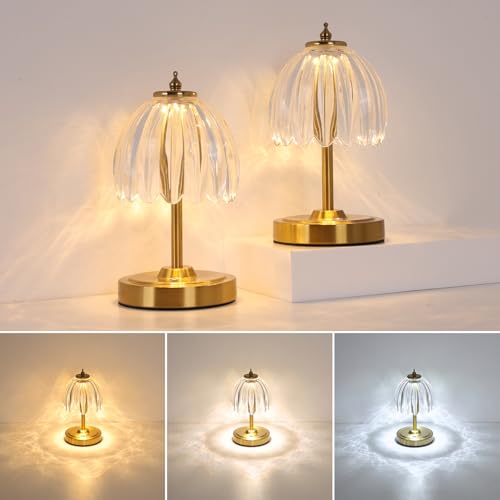 Image of Shenmoyl Set of 2 Tulip Table Lamp with 5200mAh Battery & Touch Control, Cordless Small Table Lamp with 3 Colors, Rechargeable Battery Operated Table Lamps for Nightstand, Bedroom (Transparent Tulip)