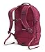 THE NORTH FACE Women's Borealis Commuter Laptop Backpack, Cyber Berry/Sumac, One Size