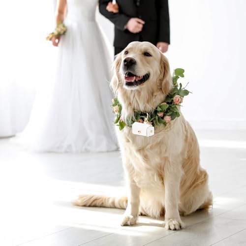 Amexo Ringträgerkissen Für Hundehalsband Ringträger Für Haustiere PU-Leder Ringhalter Weiße Aufbewahrungsbox Für Eheringe Paarring-Aufbewahrungsbox Für Heiratsantrag Verlobung Hochzeit