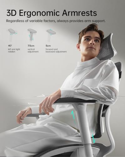 Image of Hbada E2 Ergonomic Office Chair, Big and Tall Mesh Office Chair with 6-Way Dynamic Lumbar Support, 3D Adjustable Armrests, 3D Adjustable Headrest, Grey (No Footrest)