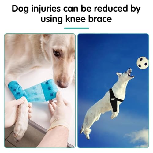 Image of Dog Knee Brace for ACL & Ligament Injuries | Adjustable Back Leg Support & Compression Wrap | Helps with Patella Dislocation, Osteoarthritis & Sprains | Multifunctional Protection (Large)