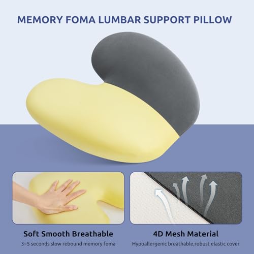 Donama Ergonomic Lumbar Pillow For Back Support thumb #2