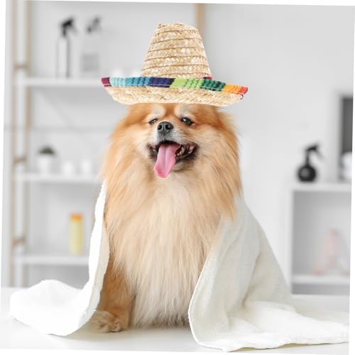 Sombrero divertido para perro disfraz fiesta miniatura 5