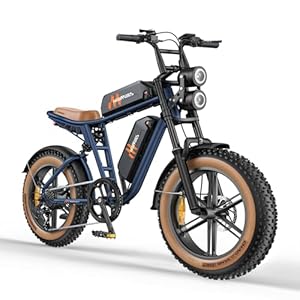 HillMiles MileZoom1 Elektrische Fiets Volwassenen Met Verwijderbare 832/1664Wh Accu,Max Bereik 130/260km Max Snelheid 25 km/u, 20*4.0 Dikke Banden,7 Versnellingen Volledig E-bike Voor Alle Terreinen