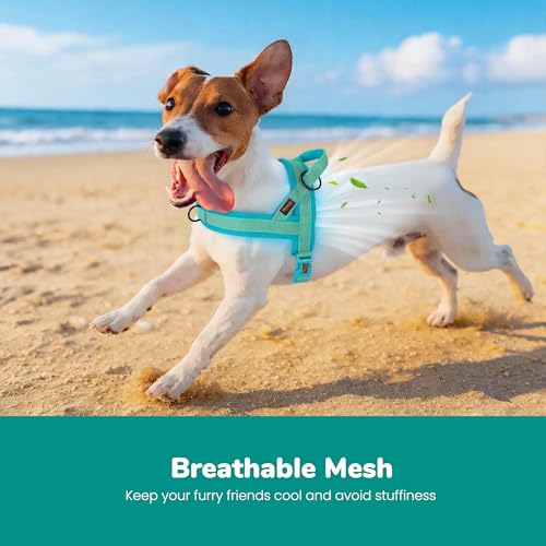 Image of Didog No Pull Dog Harness for Small Dogs, Breathable Mesh Padded, Green, S