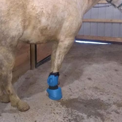 Bottes de cheval réutilisables avec sangle réglable en PVC bleu