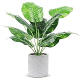 JC nateva 16' Tall Fake Plants Artificial Potted Faux Plants for Office Desk Shelf Bathroom Home Decor