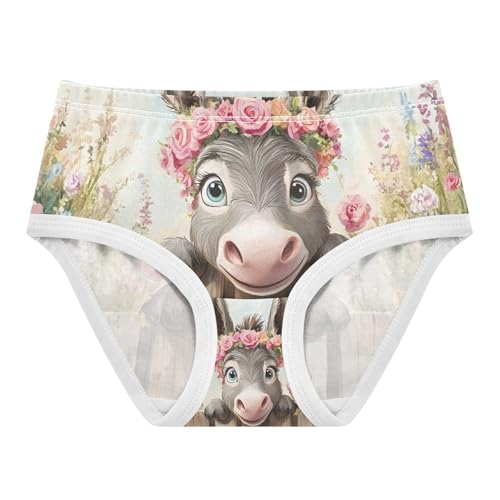 Funny Donkey Fence Toddler Girls's Underwear 2T 202c1020