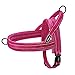 Didog Soft Flannel Padded Dog Vest Harness, Escape Proof/Quick Fit Reflective Dog Strap Harness,Easy for Training Walking,Hot Pink S Size