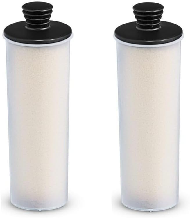 SageFurned - Lot de 2 cartouches filtrantes détartrantes compatibles pour le nettoyeur à vapeur Karcher SC2, SC3 127V BR, SC3MX Upright Plus