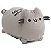 GUND - Pusheen Screen Cleaner, 4.5-inches