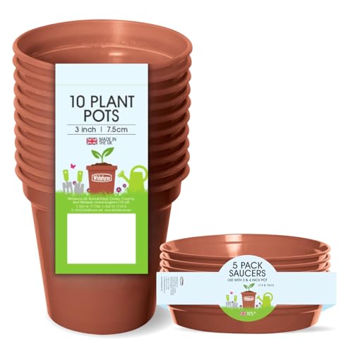 Whitefurze Blumentopf-Set, Terrakotta, 7,5 cm