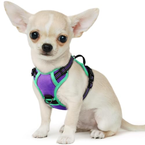 Image of Eagloo Dog Harness for Small Dogs, No Pull Pet Vest with 2 Leash Clips