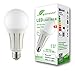 greenandco® IRC 90+ Ampoule à LED E27 24W équivalent 140W 2270lm 3000K blanc chaud 270° 230V AC, aucun scintillement, non graduable