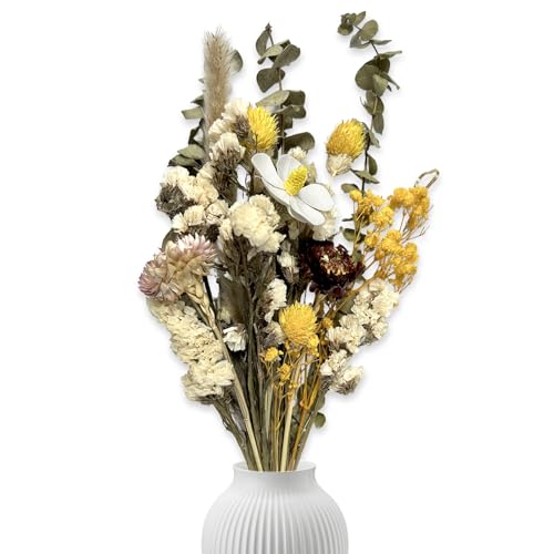Natural Dried Flowers for Vase, Boho Home Decor with Preserv
