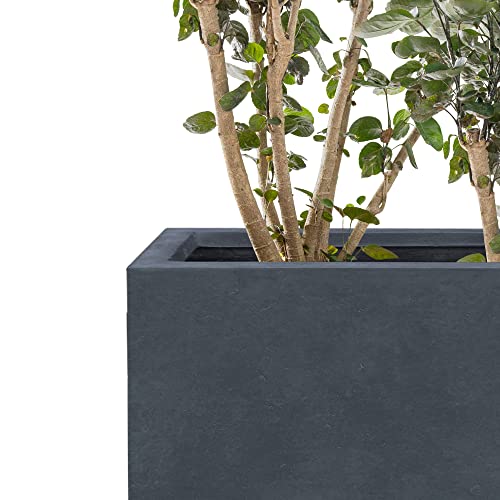 Kante Rf0111A-C60121 Lightweight Concrete Modern Long & High Rectangle Planter, Charcoal #TOP2