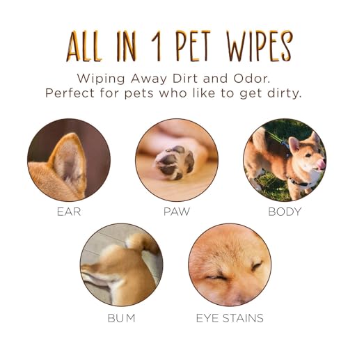 Dhohoo Pet Wipes,80-Count Pack (3-Pack),Gentle, Hypoallergenic Pet Grooming Wipes for Dogs & Cats,Perfect for Paws, Face, & Fur Cleaning,Odor Remover & Quick Clean Solution Dhohoo Pet Wipes,80-Count Pack (3-Pack),Gentle, Hypoallergenic Pet Grooming Wipes for Dogs & Cats,Perfect for Paws, Face, & Fur Cleaning,Odor Remover & Quick Clean Solution