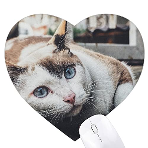 Tapis de souris chat coloré en forme de cœur pour bureau