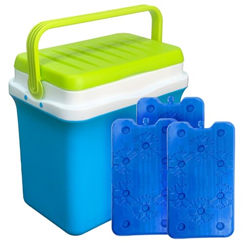 Sicignano | Nevera portátil con tableta congelador 400 ml – Asa ergonómica, apta para camping, pícnic, actividades al aire libre (nevera Box + 3 placas, 29,5 l)