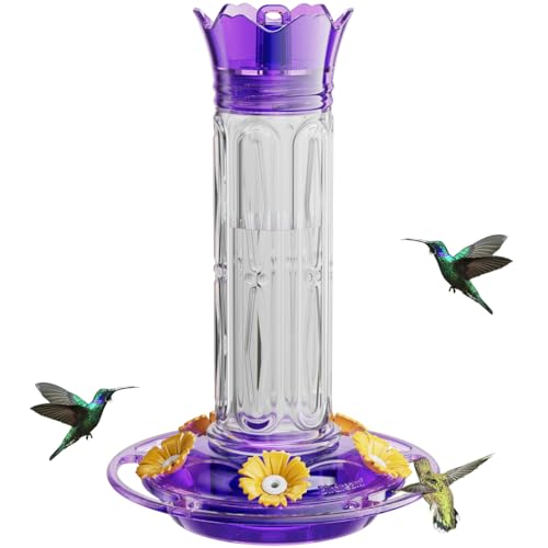 Birdream Hummingbird Feeder for Outdoors Hanging 10 Ounces 5 Feed...
