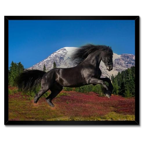 Poster Étalon Frison de prestige avec son cadre blanc de décoration murale 50x40