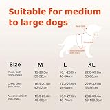 Jewyow Hundegeschirr Leuchtend, Wiederaufladbare LED Hundegeschirr, Led Geschirr für Hunde mit Weicher Griff, 3 Einstellbare Modus, Wasserdicht für Mittelgroße, Große Hund, Green-L
