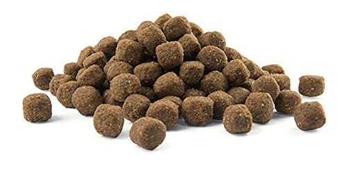 VERSELE-LAGA - Opti Life Adult Medium - Trockenfutter für Hunde - Mittelgroße Rassen - 12,5kg