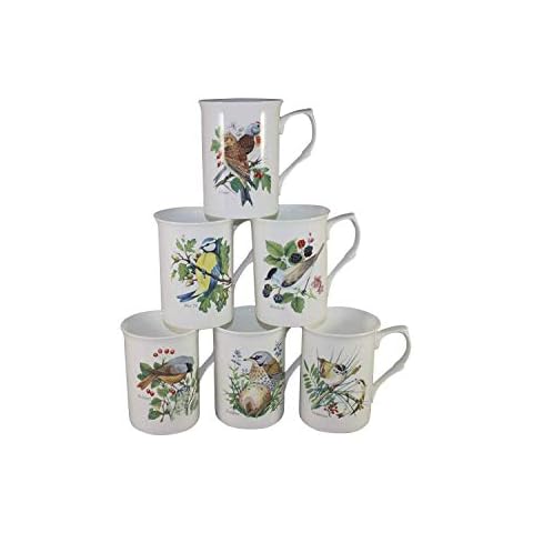 SET OF 6 BEATIFUL WILD FINE BONE CHINA BIRDS MUGS CUPS GIFT SET Cover