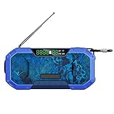 Radio Solar, Am/FM 5000mAh Radio de Emergencia a Prueba de Agua con Manivela con Brújula, Lámpara Lectura, Linterna LED y Bluetooth Altavoz, Azul (Color : Blue)