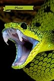 Planner: A Zelda Amara Design | Animals | Snake | Dated Weekly Calendar | US Holidays