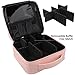 Relavel Travel Makeup Train Case Cosmetic Case Organizer Portable Artist Storage Bag with Adjustable Dividers for Cosmetics Makeup Brushes Toiletry Jewelry Digital Accessories (Pink)