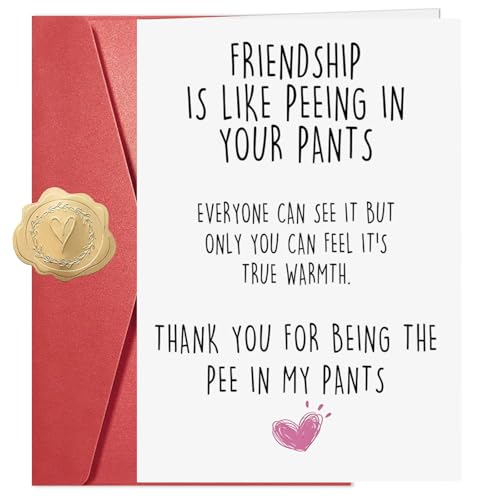 Funny Best Friend Birthday Card, Friendship Is Like Peeing In Your Pants Humorous Greeting Card, Funny Birthday Cards for Women Bestie, Blank Inside with Red Envelope