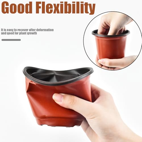 CABAX Small Plant Nursery Pots, 4 Inch Plant Seedling Pots, Plastic Plant Flower Pots with Drainage Holes Indoor Outdoor for Succulent Cutting Transplanting, 10 Pcs