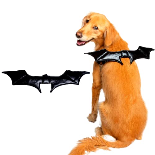 Comparison of Best Dog Bat Wings Top Picks 2023 Reviews