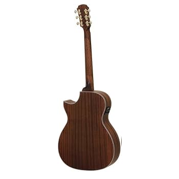 Amazon | ARIA AF-101MHCE + GC-12 エレクトリック