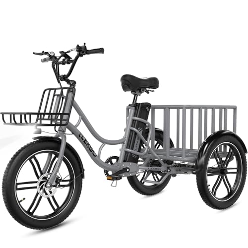 ELEKGO 20 Zoll E Bike Dreirad, 48V 18AH abnehmbare Batterie,...